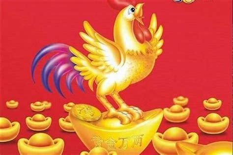 1981 鸡 五行|1981年属鸡的是什么命 1981年属鸡命运如何